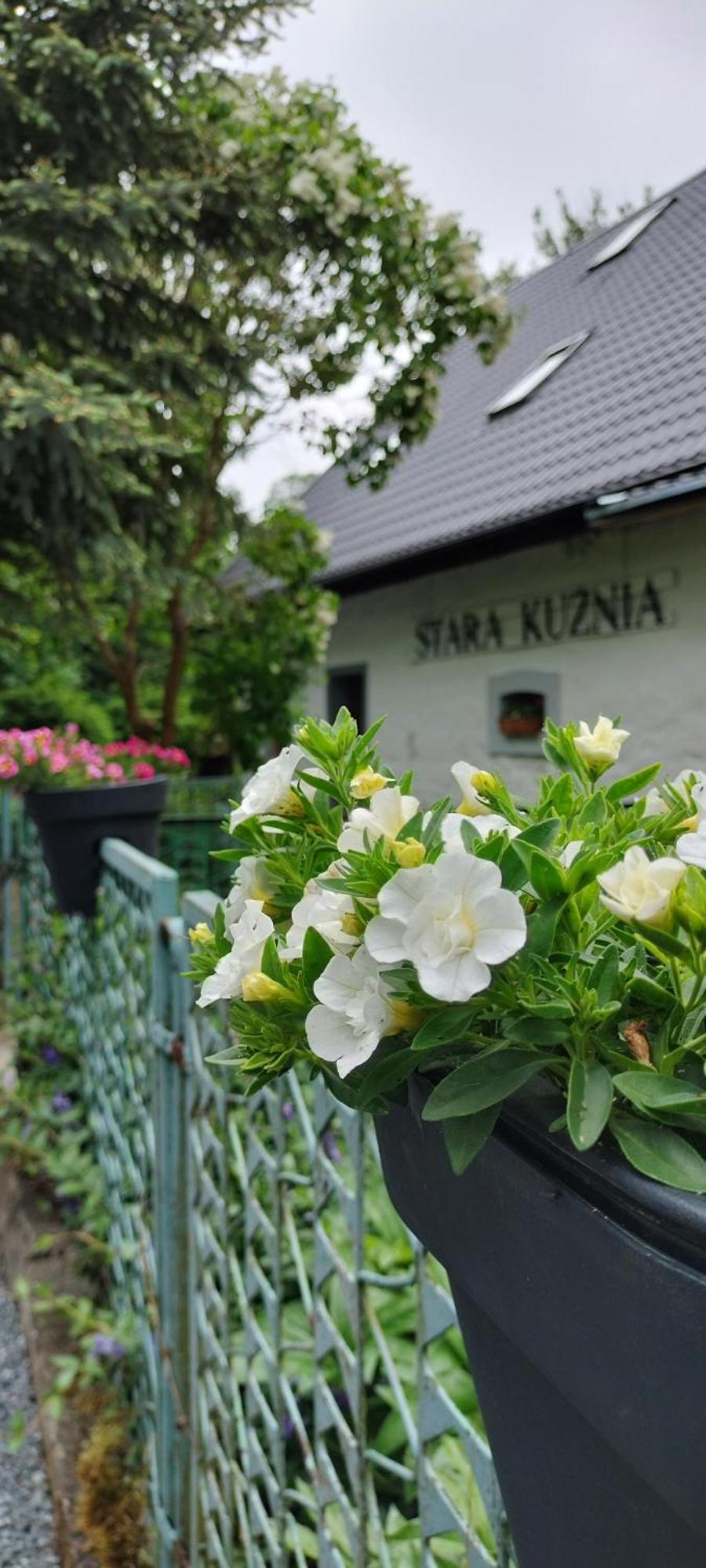 Апартаменти Stara Kuznia Душники-Здруй Екстер'єр фото
